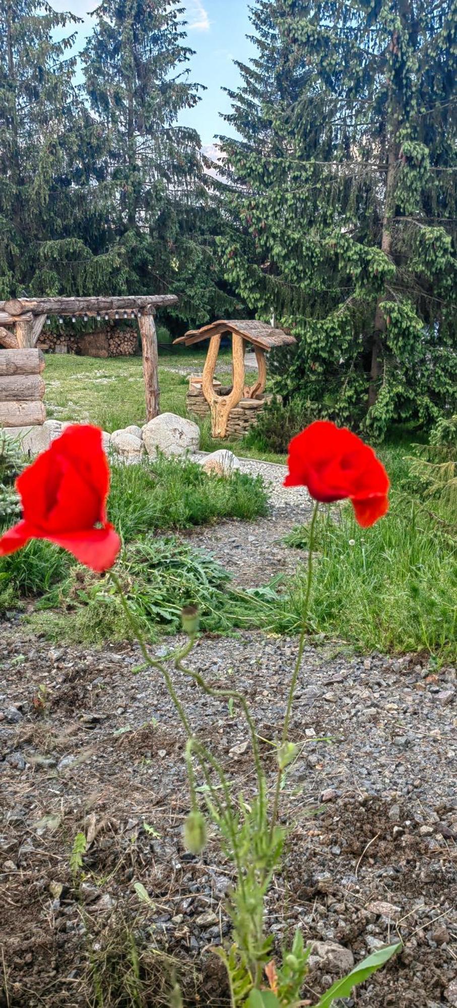 דירות Veľký Slavkov Mlyn Tatry חדר תמונה